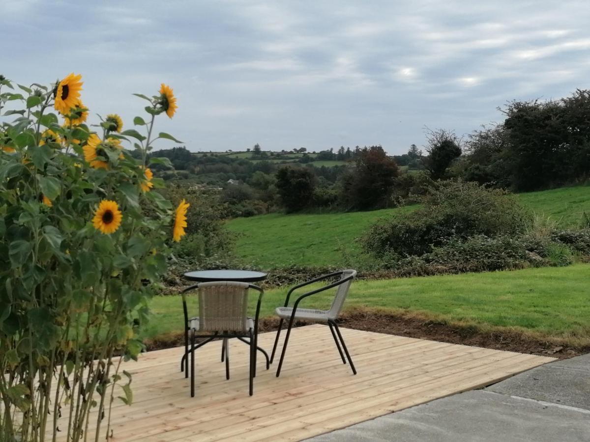 Radharc Na Greine Apartment Cork Ngoại thất bức ảnh
